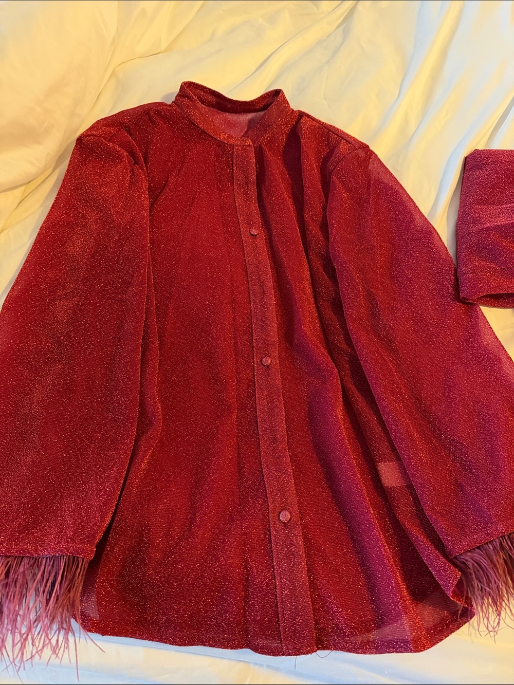 Sparkle Feather-Trim Pantsuit in Wine